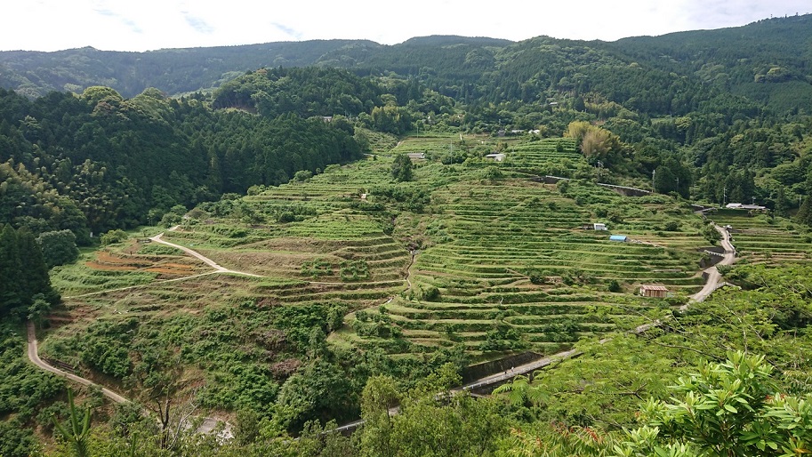 1218棚田写真_1932